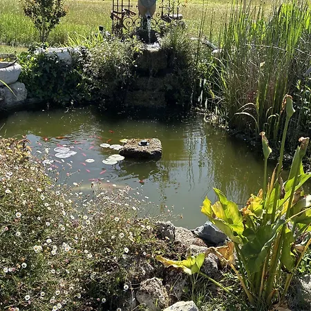 Le Relais De La Chouette Berson