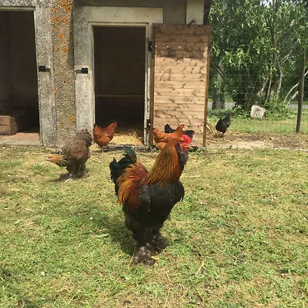 Le Relais De La Chouette Berson